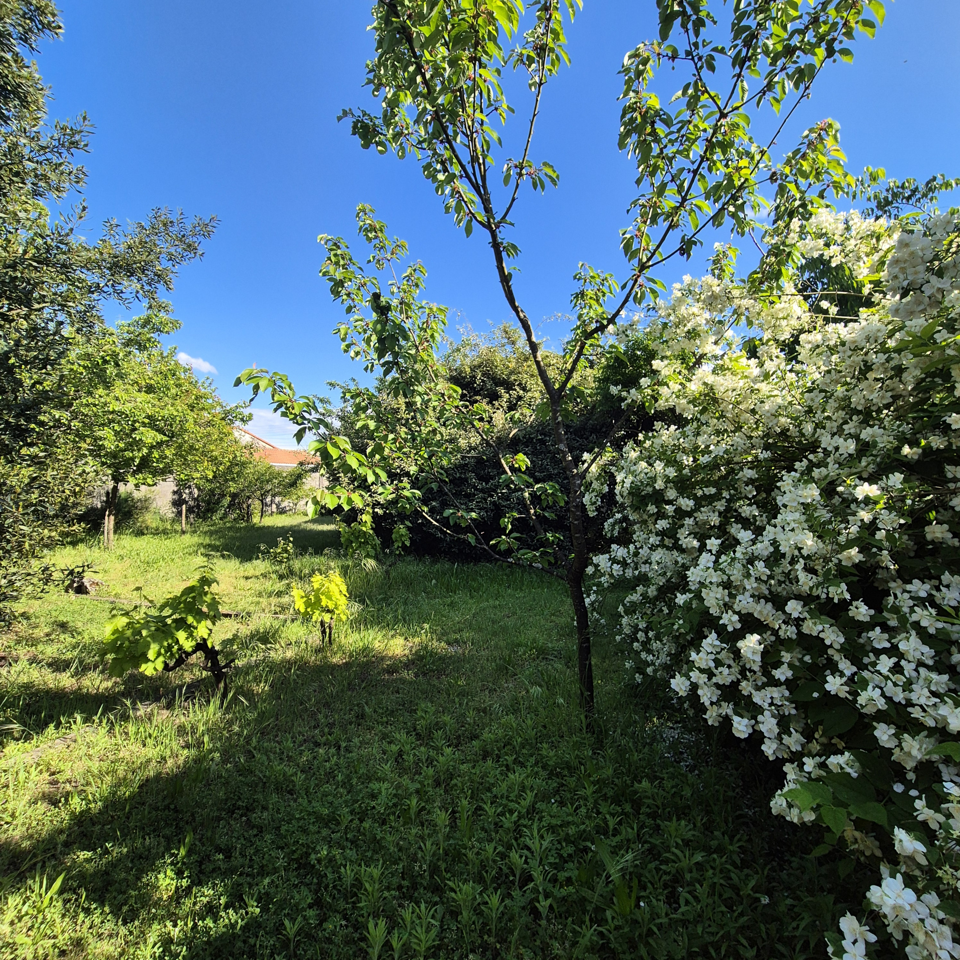 MAISON 116 M2 VILLENAVE D'ORNON