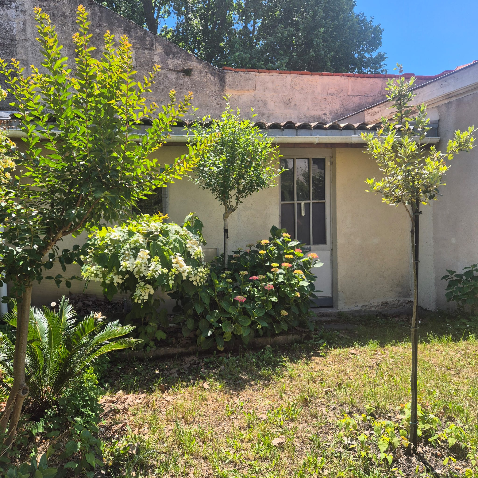 ECHOPPE 110 M2 NANSOUTY